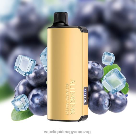 Alibarbar Ingot 20000 eldobható vape áfonyás szellő L268B32 - Vape E Cigi