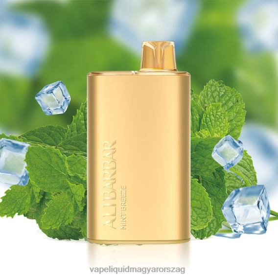 Alibarbar Rich 8000 eldobható vape menta szellő L268B8 - Vape Liquid