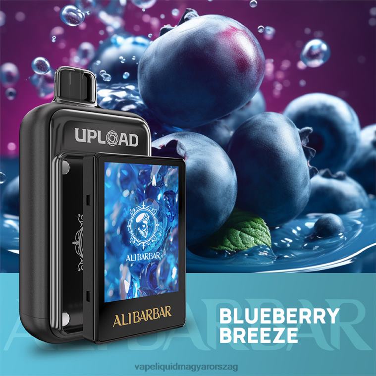 Alibarbar feltölteni áfonyás szellő 8LNV6113 - E-Liquid Utántöltő Folyadék