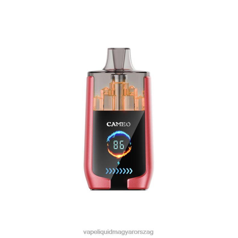 LAVIE CAMEO 30000 fújás görögdinnye jég 4PXV414 - Vape Pen