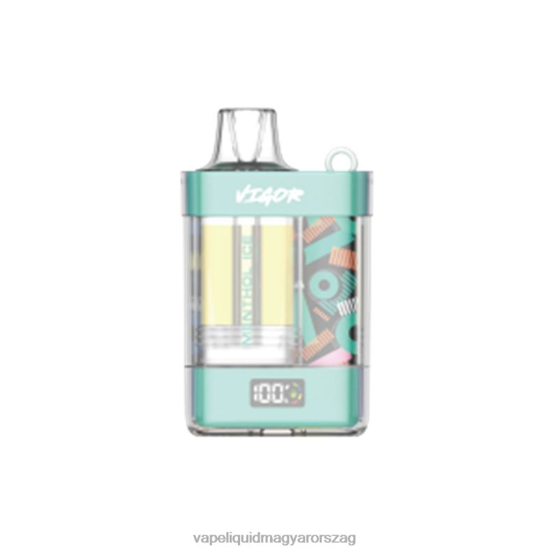 LAVIE VIGOR 15000 fújás mentol jég 4PXV42 - Vape E Cigi