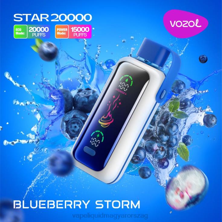 VOZOL STAR 20000 áfonya vihar V260L5 | E-Liquid Utántöltő Folyadék
